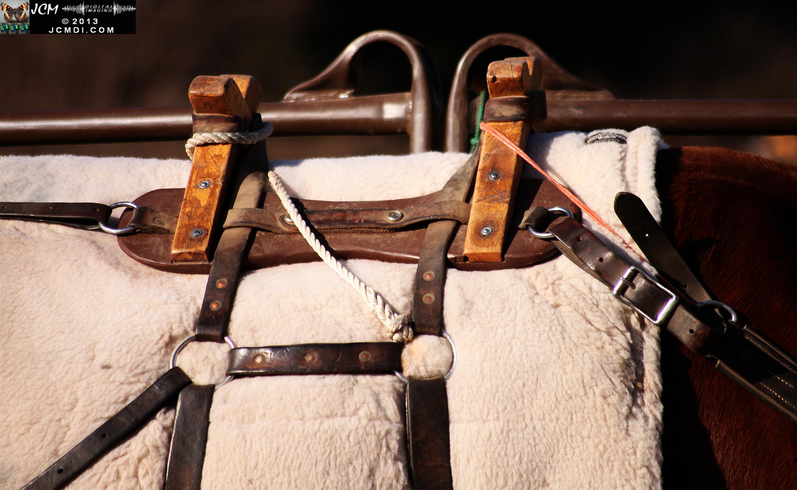 100 Mule Team at Whitney Canyon